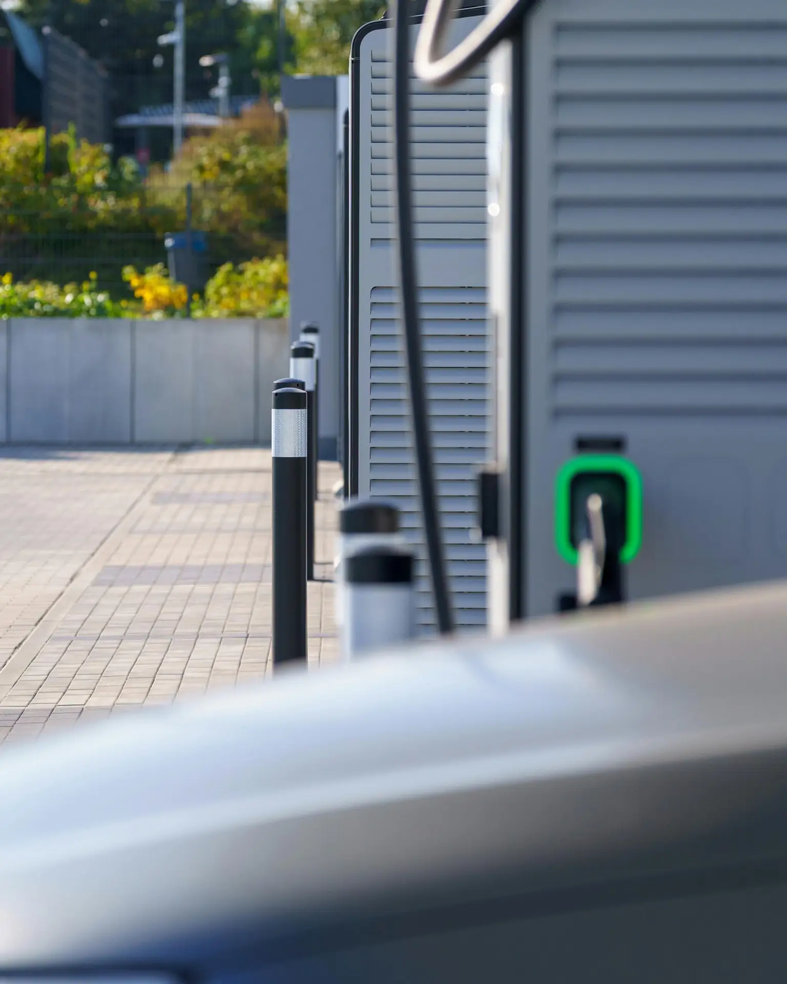 pexels-mohamed-b-2151113020-33661090