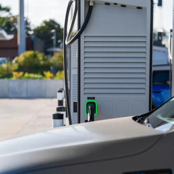 pexels-mohamed-b-2151113020-33508503